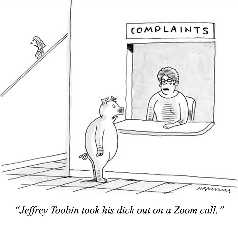 Freedom Patriot (@votered69) on Twitter photo 