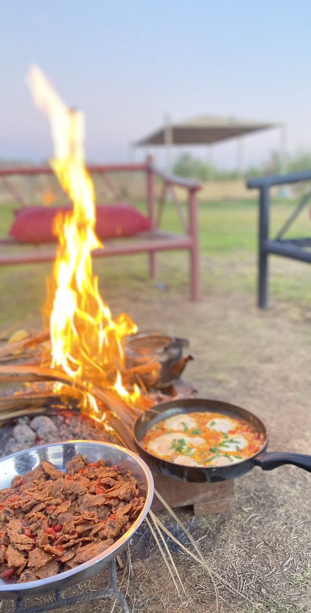 #_القصيم تصويري مزرعة النخيل القصيم ♥️♥️