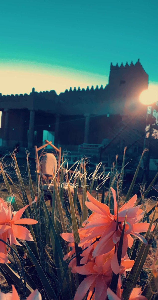 #_القصيم تصويري في مزرعة النخيل القصيم