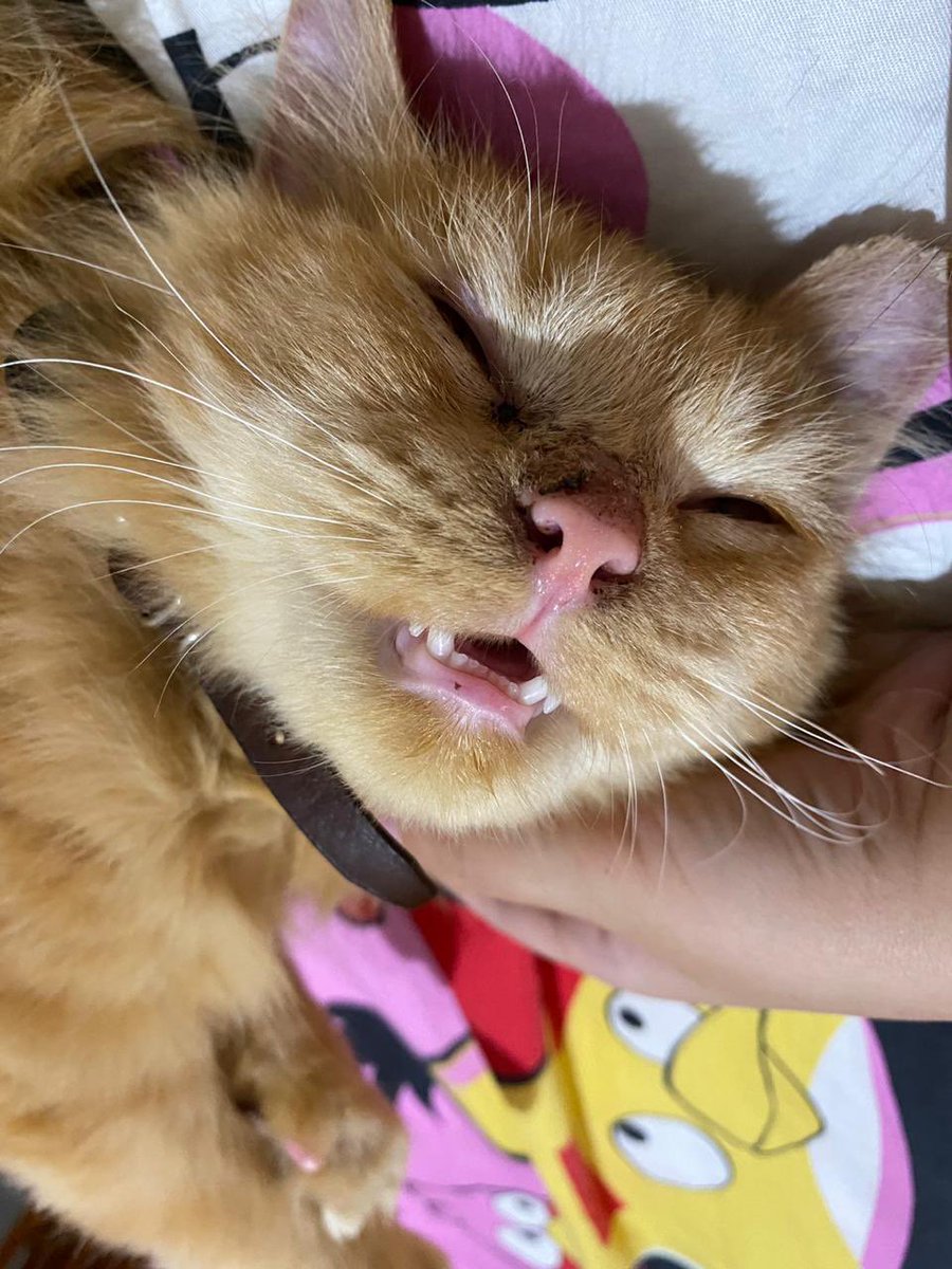 Suka gumush sendiri kalo mengku bobonya mangap