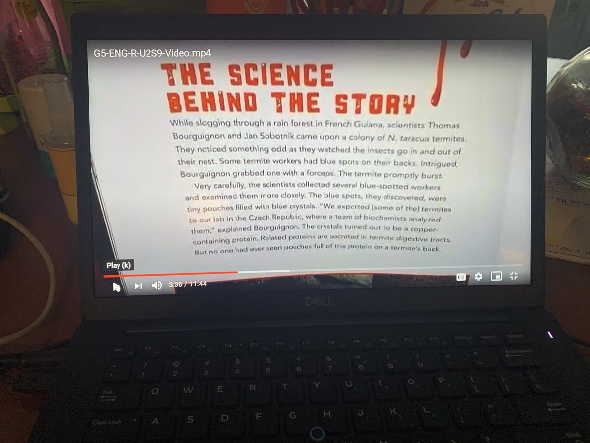missstarling3's tweet photo. Main idea in Nonfiction has always been tough for me to teach. This is my first year using @TeachersCollege lessons and I finally feel like my kids are grasping 2 main ideas + supporting detail! 👏🏻💯 @JoyceEv99185678 thank you @omikate for supporting my team and FWE 5th graders! https://t.co/K06UGU1B69
