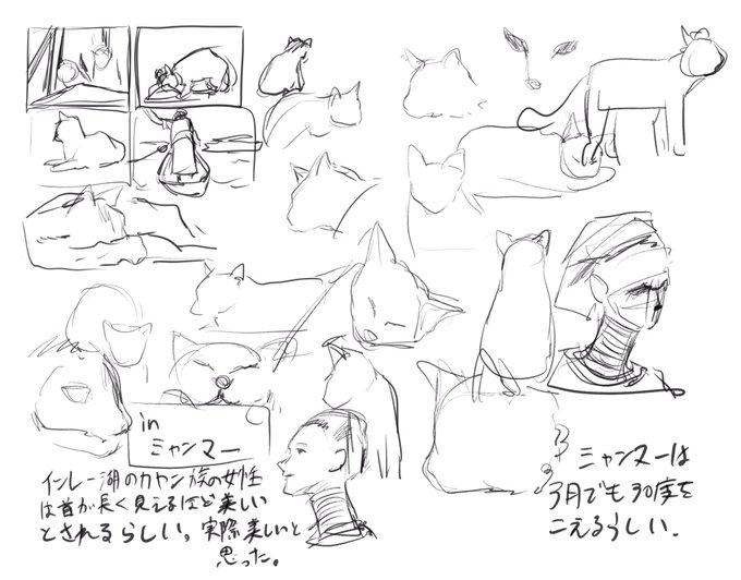 ネコ歩きスケッチ。
映像早くて全然描けないw 
