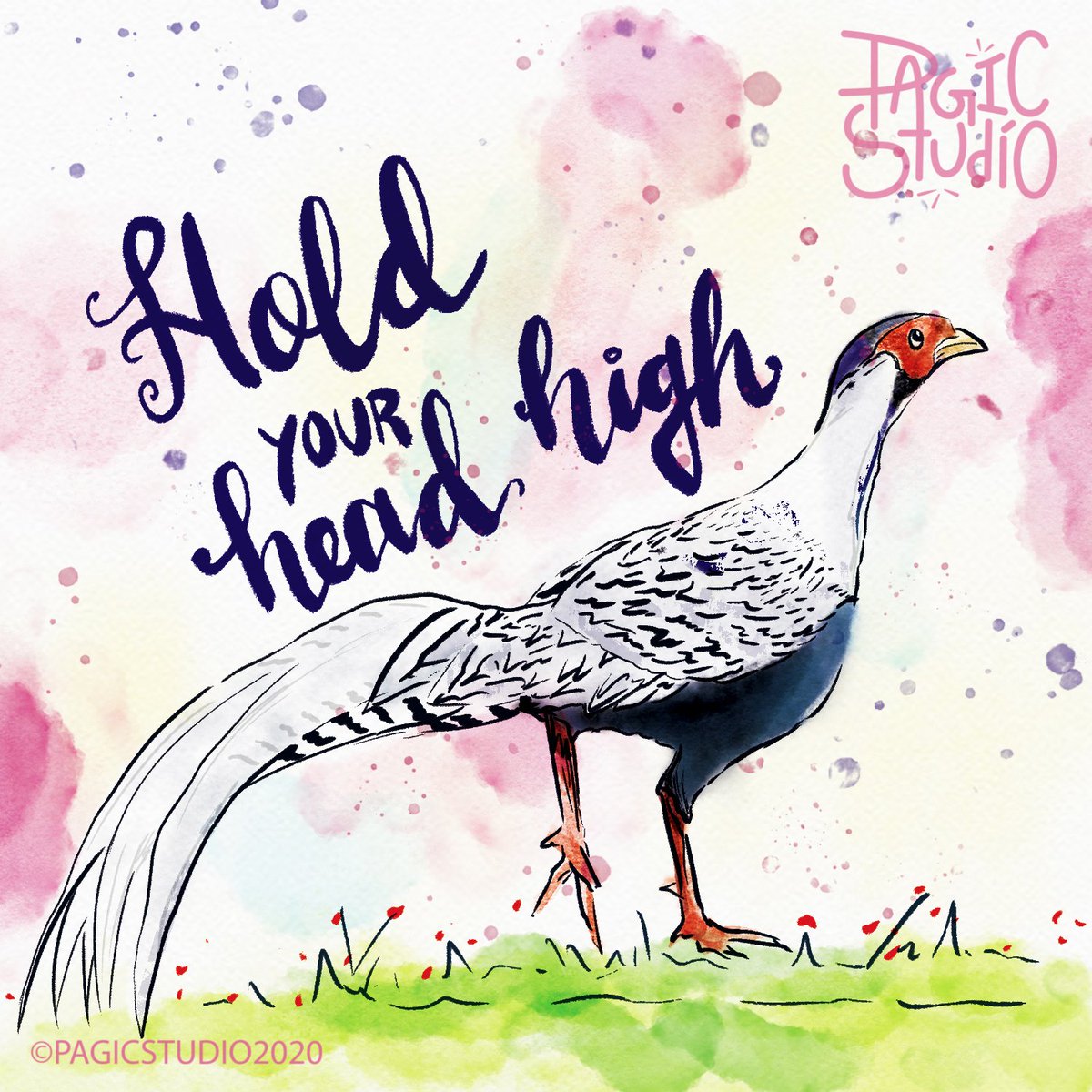 pagicstudio's tweet photo. Pheasants of India | Pheasant 2 - silver pheasant learn about the pheasant in below link >>https://t.co/1KhmArvsZM
.
#watercolour #photoshop #pheasants #indianillustator #digitalart #colors #nature #livebrushes #watercolor #photoshop #artist #Birds #brandingstudio #pagicstudio https://t.co/H9qzMUosnW