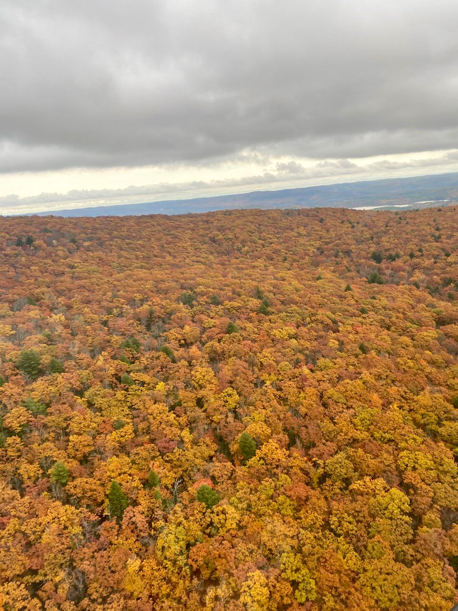 John Legere tweet media