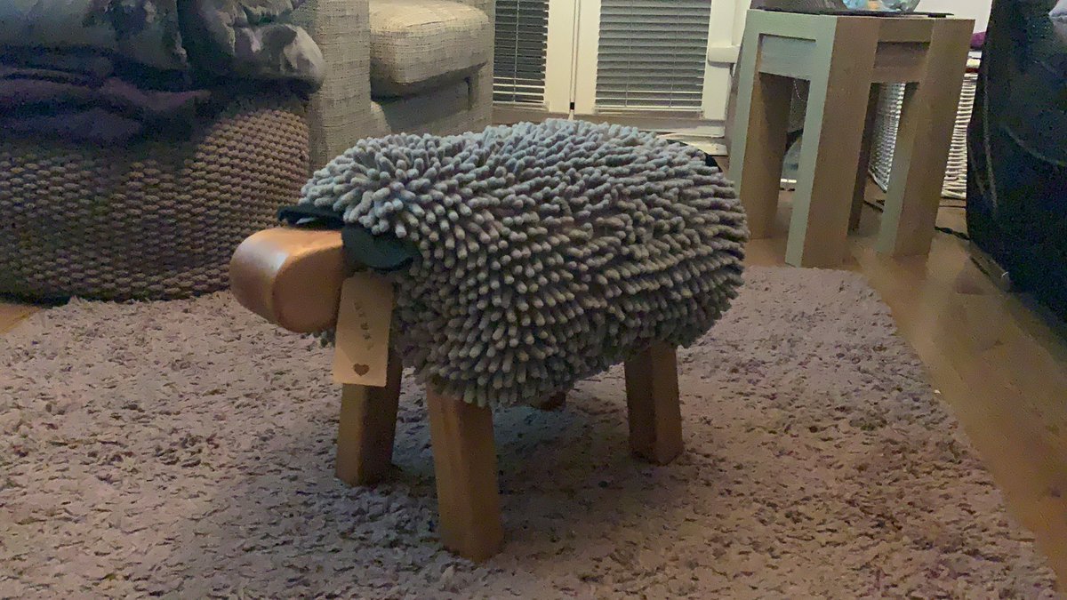 charlinabevanj's tweet photo. @serenaMjones I’ve got a sheep... very Coastal 😂👍🏻 https://t.co/bm109MUwLm