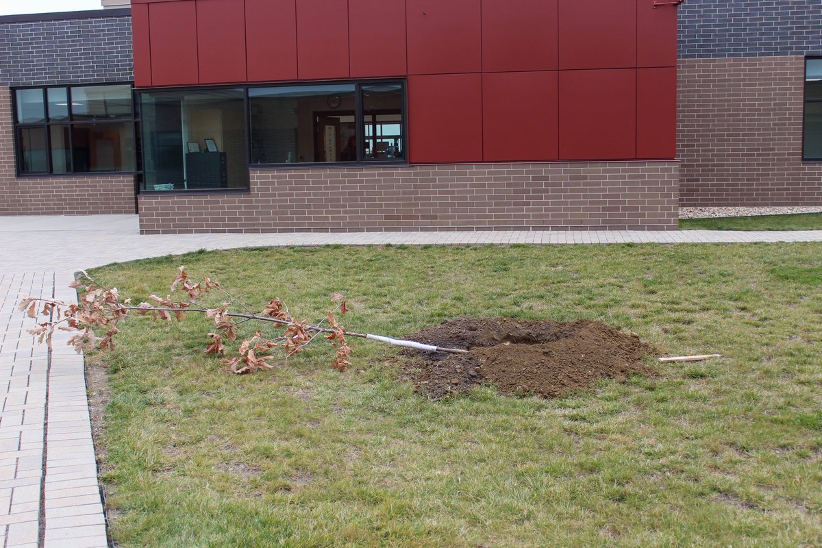 Aldrich Elementary tweet media