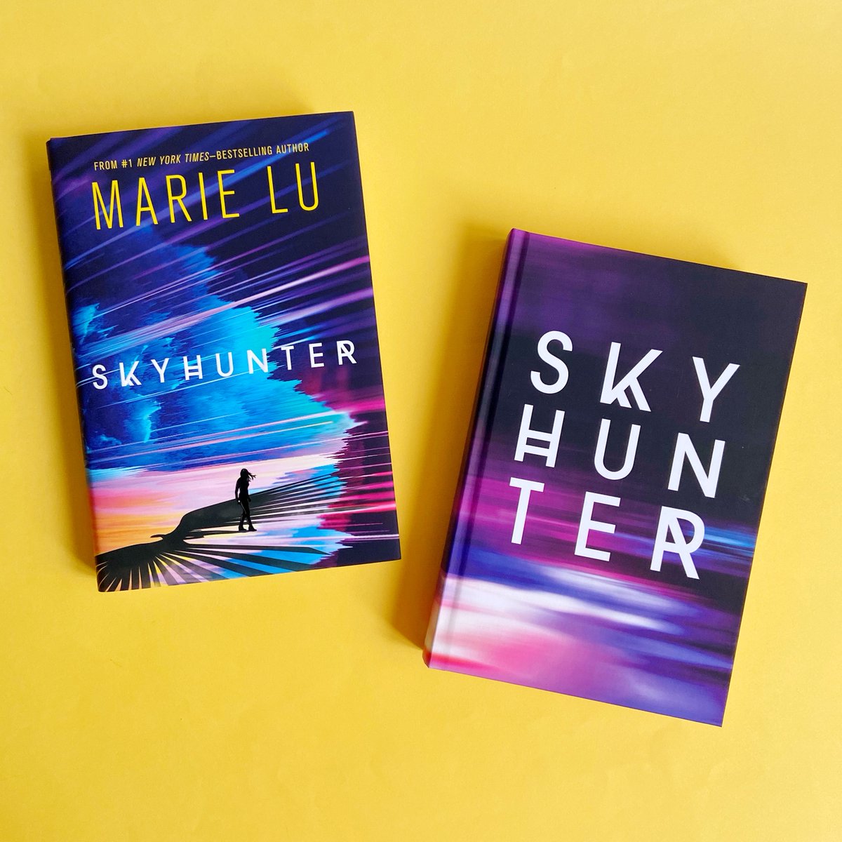 FierceReads's tweet photo. Aramin, a fierce and ruthless leader, is the Firstblade of the Strikers.

Pick up @Marie_Lu's latest, SKYHUNTER, and read all about him: https://t.co/xBJ6HYdbDS https://t.co/gT9MN8sDq5
