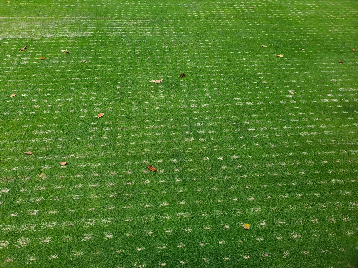 Phillip Majernik tweet media