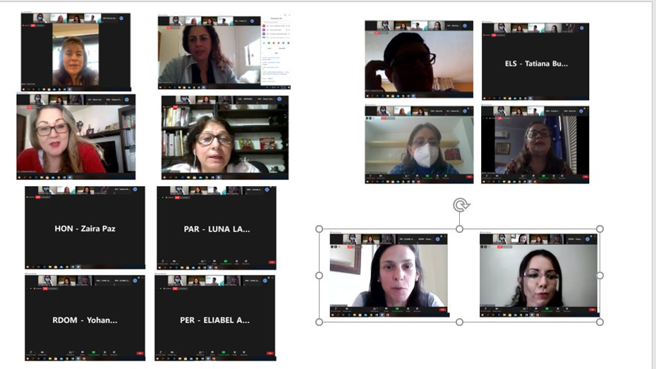 ✔️Concluida la primera sesión de nuestra asamblea virtual, con la participación de 19 países en votación y aprobación por unanimidad del nuevo estatuto de la RILAA.

Nos vemos mañana!!
<a href="/panaftosa_inf/">PANAFTOSA-OPS/OMS</a> <a href="/opsoms/">OPS/OMS</a>