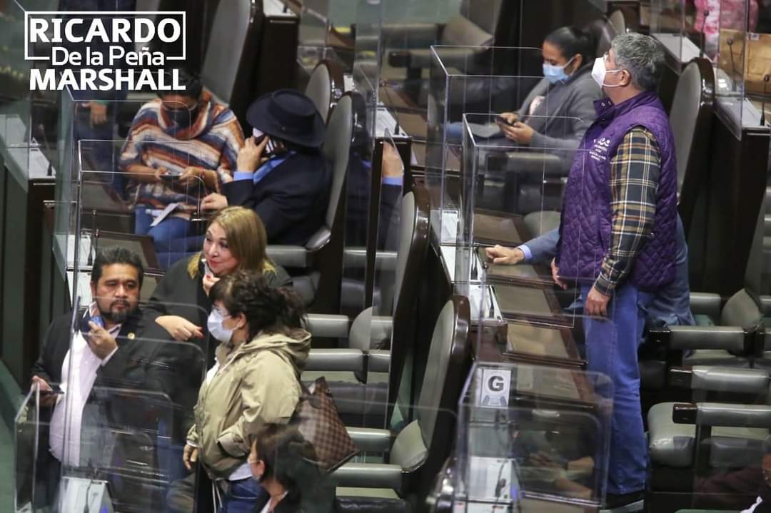 La Cámara de Diputados avaló reformas a la Ley Federal de Derechos. En el PES comprendemos el sentido de esta reforma, trabajaremos para que las adecuaciones o incrementos fijados en el dictamen sean temporales y no permanentes, a fin de reactivar el turismo y la economía local