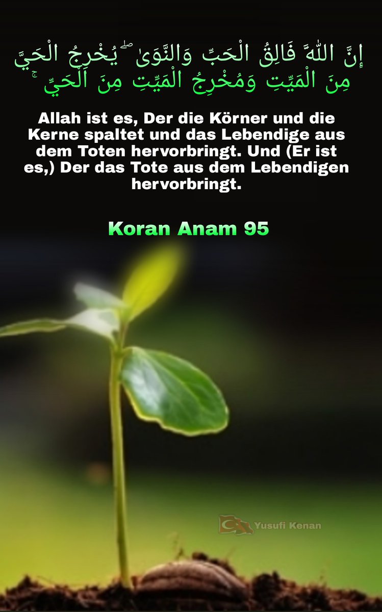 derislam1's tweet photo. https://t.co/NdJTPsIqFL