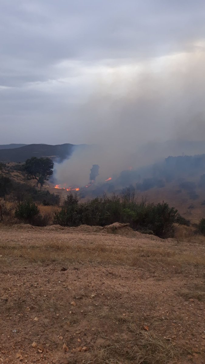 Plan_INFOCA's tweet photo. 🔴 DECLARADO #IFObejo (#Córdoba). Desplegamos en la zona 2 aviones de carga en tierra, 1 helicóptero de transporte y extinción, 1 autobomba, 1 nodriza, 2 grupos de #BomberosForestales, 1 #TOP y 1 #AAMM. https://t.co/Q7aWCYfU9g
