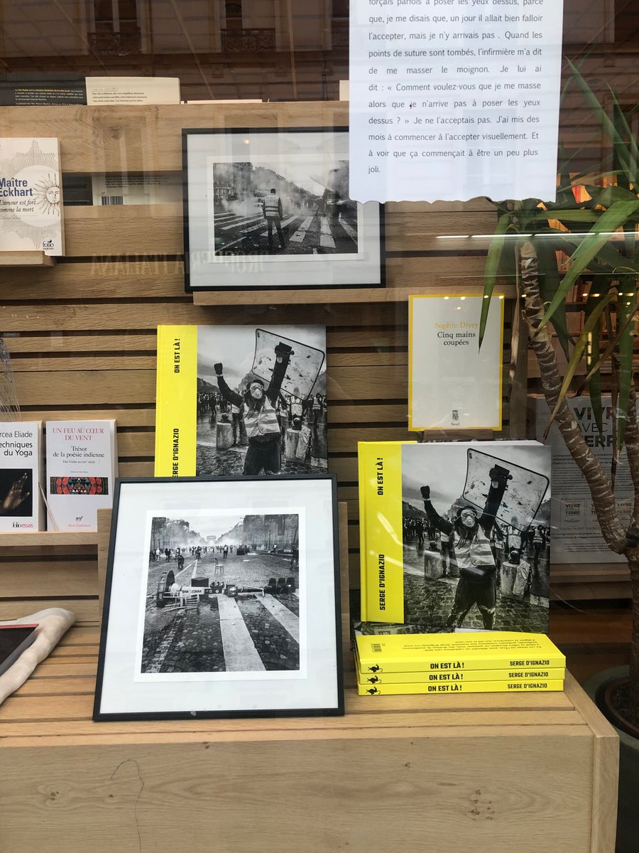 LAdespote's tweet photo. Merci à la Librairie La Friche sa magnifique vitrine mettant en lumière On est là ! de Serge D'Ignazio. Cela nous fait chaud au coeur et donne envie de se noyer une fois encore dans la beauté des photos et des textes qui le composent. Pas vous ? 💛😍 
#librairie #editionsadespote https://t.co/GYqYYjkh4O