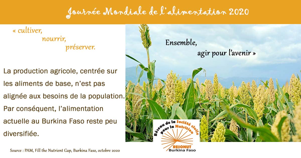 RESONUT Burkina tweet media