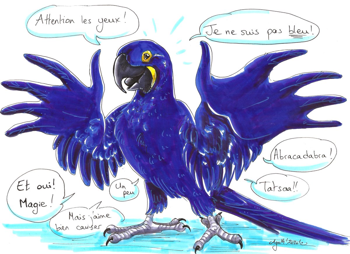 Leniddepie's tweet photo. Les analyses des médiatrices et médiateurs du @palaisdecouvert sont en ligne pour #Dessinemoilessciences #lascienceestla autour du thème des couleurs ! Tout est là : https://t.co/pUidvZPlov L'occasion de revoir mon ara Hyacinthe malicieux et coloré (mais pas comme on le croit). https://t.co/gZnt4KYtNE