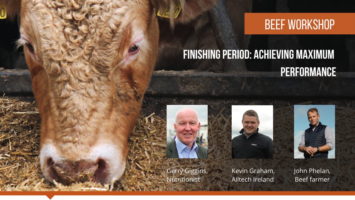 Alltech Ireland tweet media