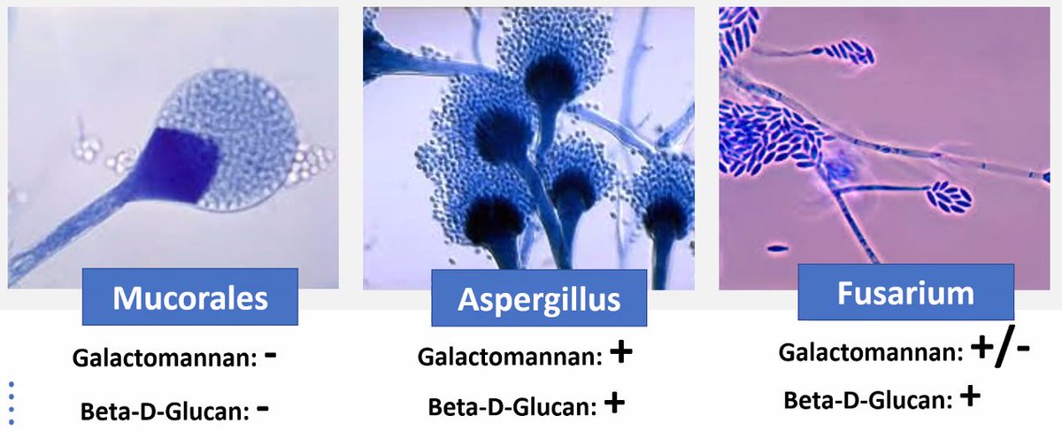 UCSD Internal Medicine Residency tweet media