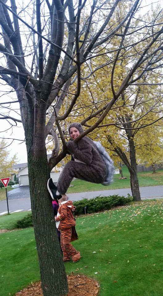 dmlemay's tweet photo. @DawnAtDark @KSTPsteve @valentinedonna 

A few years back my son went as a squirrel 😂 https://t.co/F8yw5pYnC6