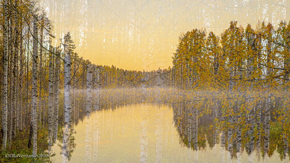 UVornanen's tweet photo. International #landscapeday 20.10.2020

Saako kansainvälisenä #maisemapäivä’nä leikkiä maisemalla ... no ei se mitään, leikin silti.

#koivikko #puut #maisema #ruska #maisemamix #kameraleikkejä #birchgrove #trees #landscape #fallcolors #landscapemix #creativecamera https://t.co/ljCivp7S8j