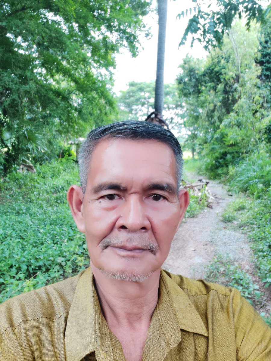 ไม้ใกล้ฝั่ง