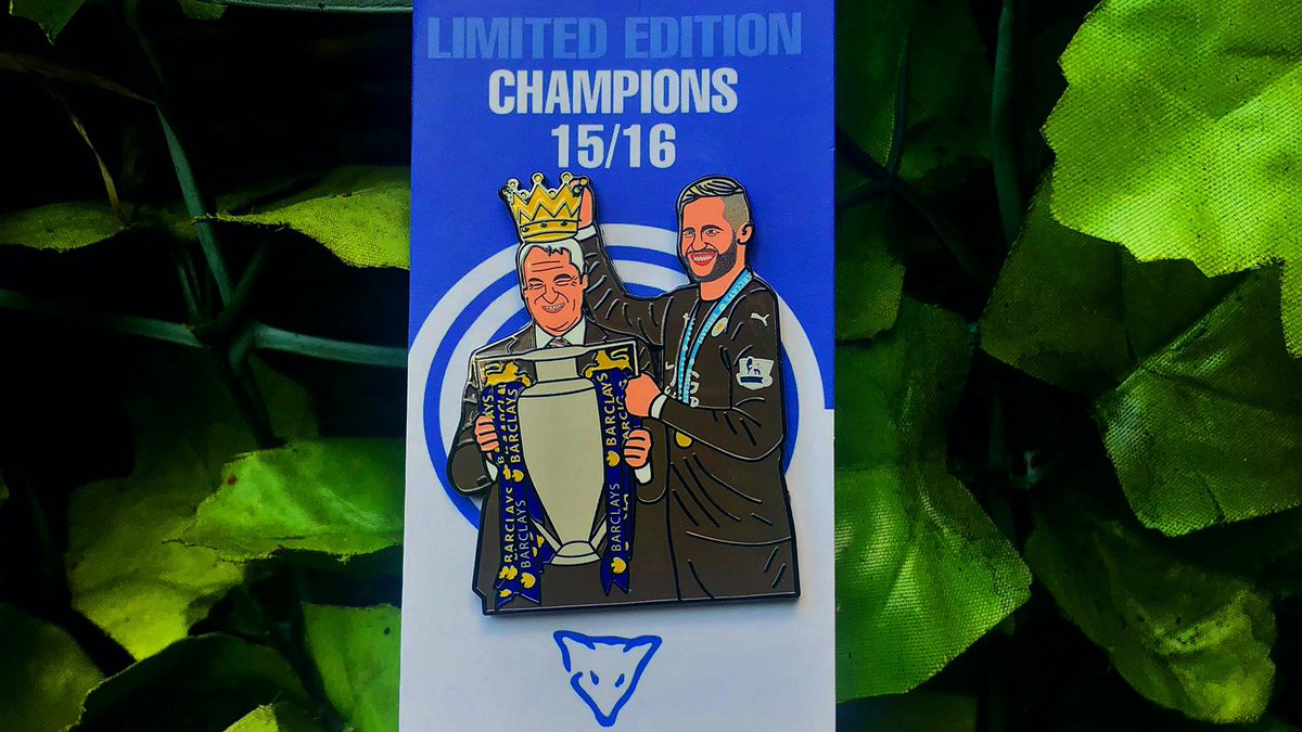 The Foxes Pins 🦊 tweet media