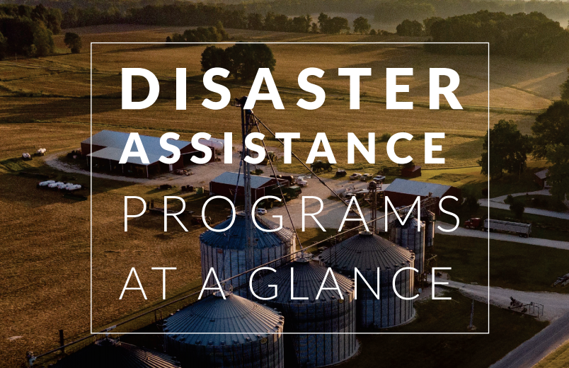 Our “Disaster Assistance Programs at a Glance” brochure gives an overview of disaster assistance programs. View it here: go.usa.gov/x73cP