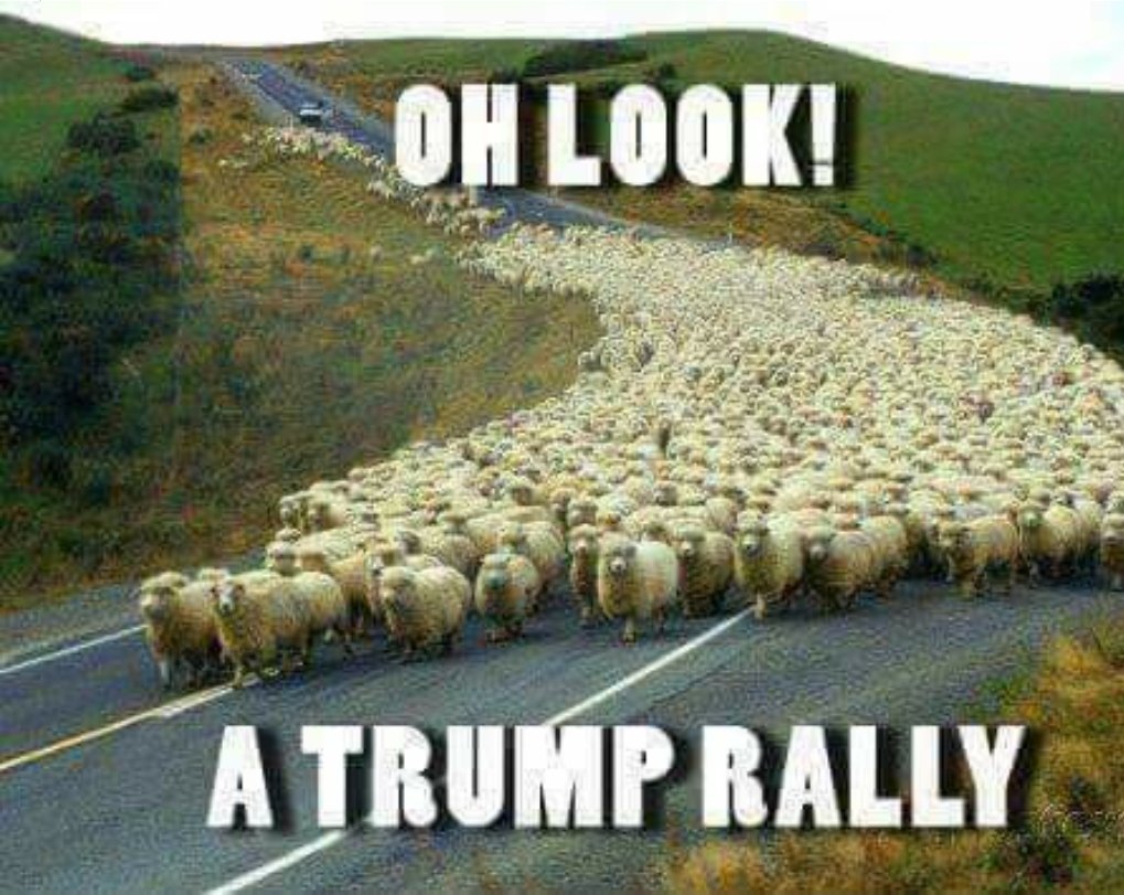 CharlesCassidy6's tweet photo. @NoelleBruno @EricTrump https://t.co/nkOTs3F7nx