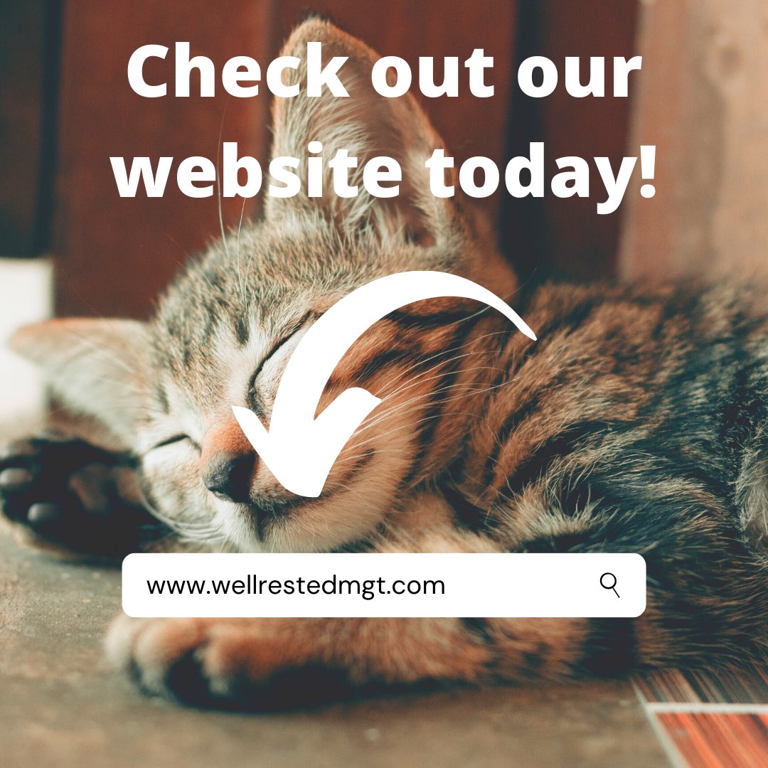 WellRested_MGT's tweet photo. Contact us today!!! 😁 Our website is popping! 
#excited #NCbased #SmallBusiness #ContactUs https://t.co/yrVakFr7ua