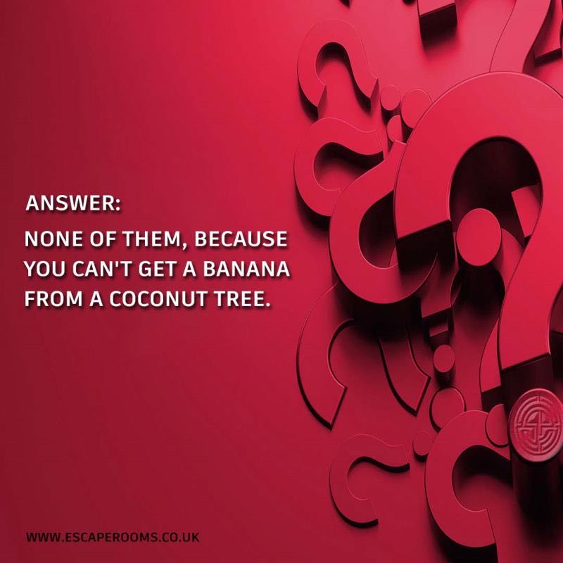 Escape Rooms tweet media