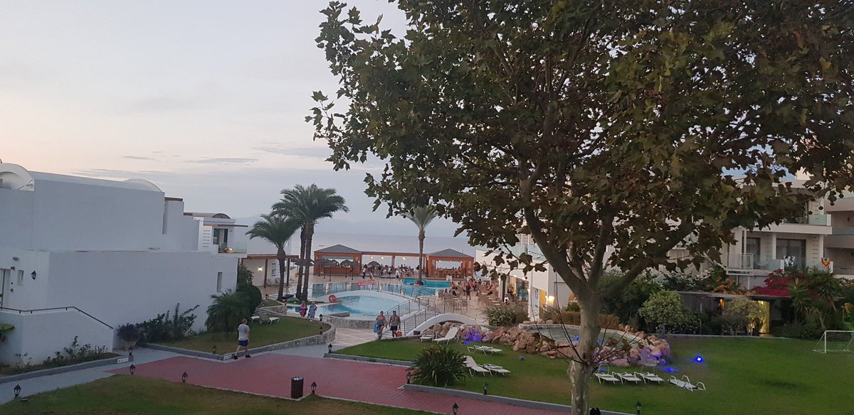 Emma Davis tweet media