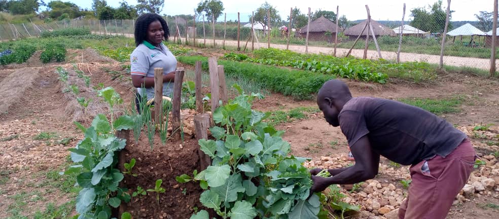 NIGI Uganda tweet media