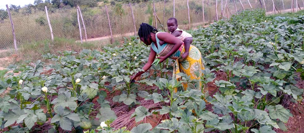 NIGI Uganda tweet media