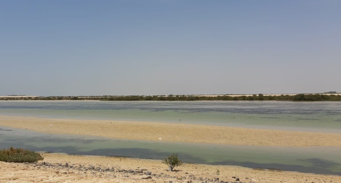 Capital_Surveys's tweet photo. Shallow Water Survey near Mainland Abu Dhabi. 🚣‍♂️🦺 https://t.co/i87DprbjEK