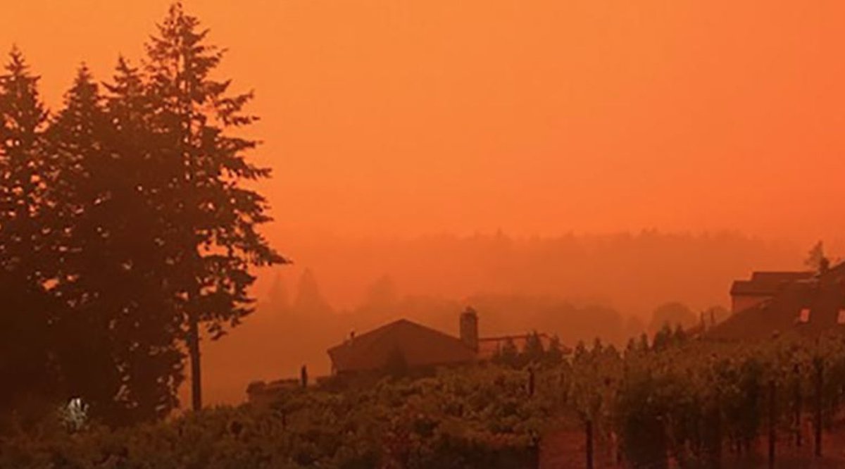 Suzanne Stevens (@pdxbizsuzanne) on Twitter photo Fear of smoke-tainted grapes is causing unrest in Oregon wine country. <a href="/petedanko/">Pete Danko</a> has the details. bizjournals.com/portland/news/… Fear of smoke-tainted grapes is causing unrest in Oregon wine country. <a href="/petedanko/">Pete Danko</a> has the details. bizjournals.com/portland/news/…