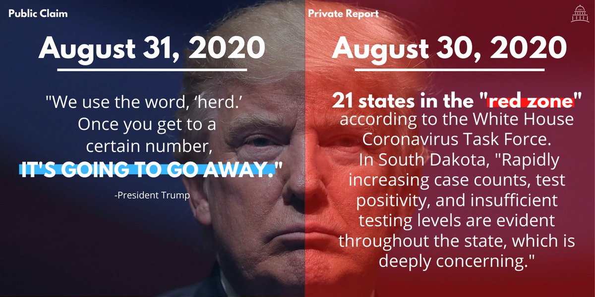 August 30, 2020 report: