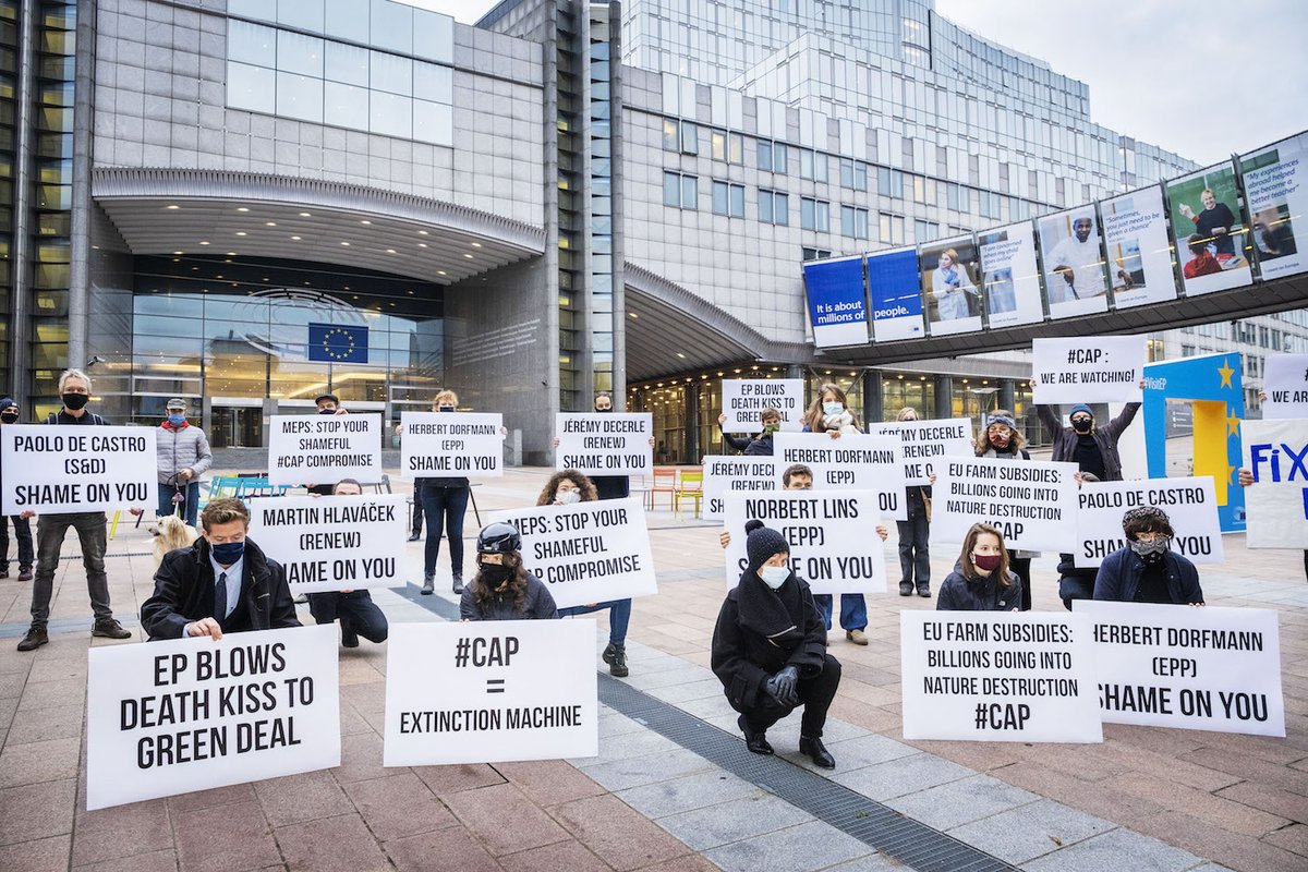1. Tonight, billions of EU subsidies (over 1/3 of budget!) stand to go down the drain if deal between S&amp;D <a href="/TheProgressives/">S&D Group</a> , liberals <a href="/RenewEurope/">Renew Europe</a> and <a href="/EPPGroup/">EPP Group</a> goes through. 

As it is, #CAPreform has resulted in an extinction machine. Say NO! #VoteAm1147 #FutureofCAP