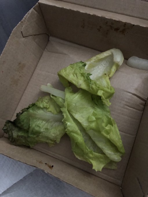 Hey @McDonaldsCanada why the hell am I paying 30 cents for this sorry and haggard excuse for lettuce<a class="tags" target="_blank" title="On Twitter" href="/?out=eyJ0eXAiOiJKV1QiLCJhbGciOiJIUzUxMiJ9.eyJpYXQiOjE3MjY3Njg1NTMsImlzcyI6InR3cG9ybnN0YXJzLmNvbSIsIm5iZiI6MTcyNjc2ODU1MywiZXhwIjoxNzU4MzA0NTUzLCJyZWRpcmVjdF91cmwiOiJodHRwczovL3R3aXR0ZXIuY29tL01jRG9uYWxkc0NhbmFkYSJ9.GPviaeoN8C9IEjn2Z4oXqey3mNin67IKXlaJvTtHCDjtbQ77rieqyOJ_PzvltuC2lp0sPq65PzGSTgp5zxIneA">@McDonaldsCanada</a><a href="/tag/twitch"class="tags"><span>#twitch</span></a>