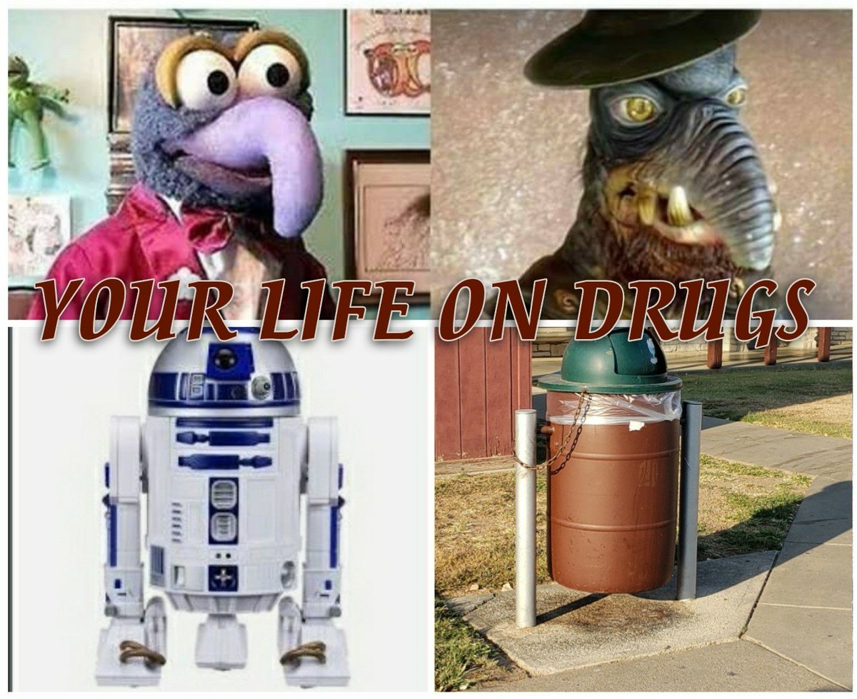 BREAKING THE SHELL (@timc5498) on Twitter photo 