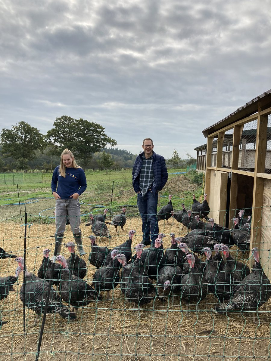 ChiddinglyShop's tweet photo. We had a lovely visit to the Sheffield’s turkey farm in Chiddingly, pop into the shop to order your local, free range turkey.
.
#turkeyforchristmas #freerangeturkey #chiddingly #chiddinglyshop #villageshop @meadowbrookturkeys https://t.co/YFT5oz2yI1