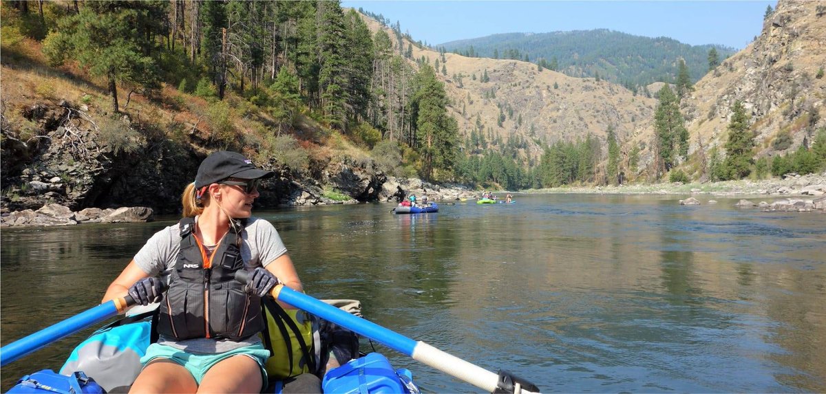 Matcha - Empowering DTC Growth tweet media