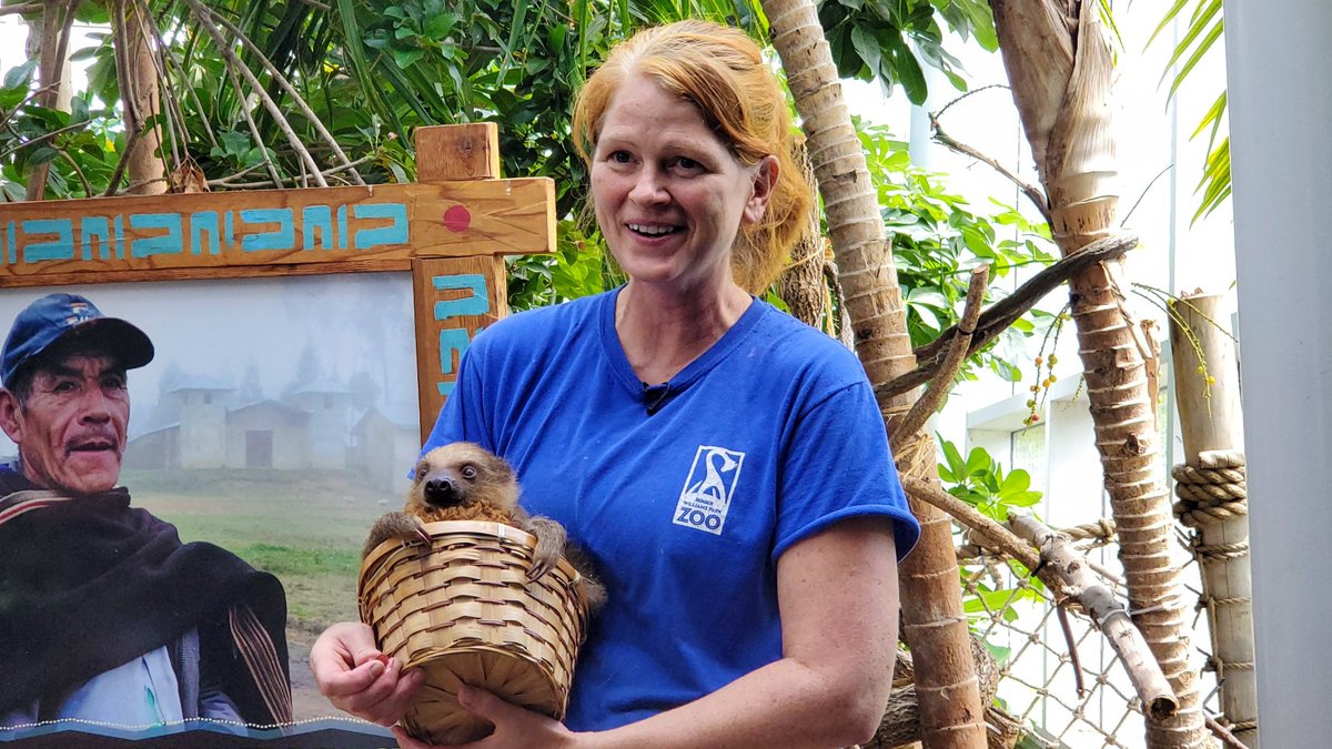 RWPZoo's tweet photo. Our work of conservation, education, and providing specialized care for our animals never ends. Make your voice heard. Ask Congress to help zoos and aquariums survive these difficult times. https://t.co/SYXLfoGpuu #HelpZoos #HelpAquariums Please RT. https://t.co/0boA6fwMwx