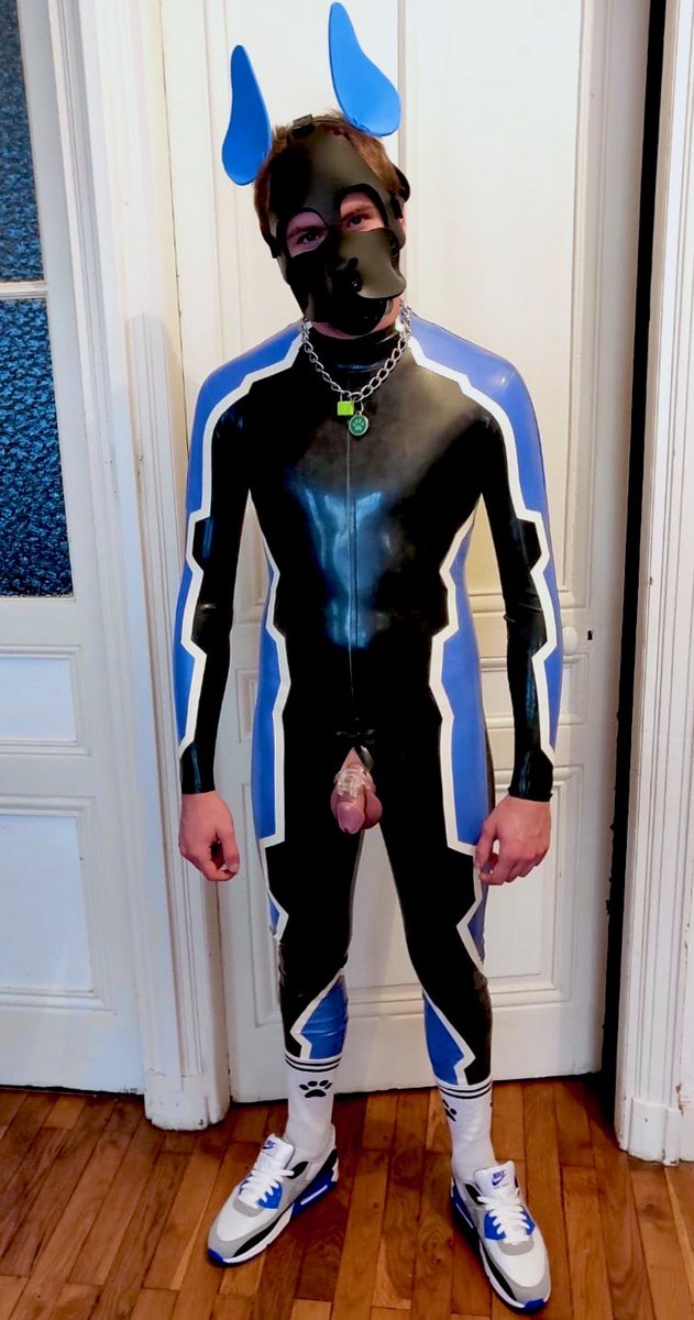 Pup_Bamboo's tweet photo. New suit, new shoes, but I have to confess that I've borrowed my alpha's hood 💙🖤💙! I would love to find one like that ! 🐶 https://t.co/zWD21wgUvA