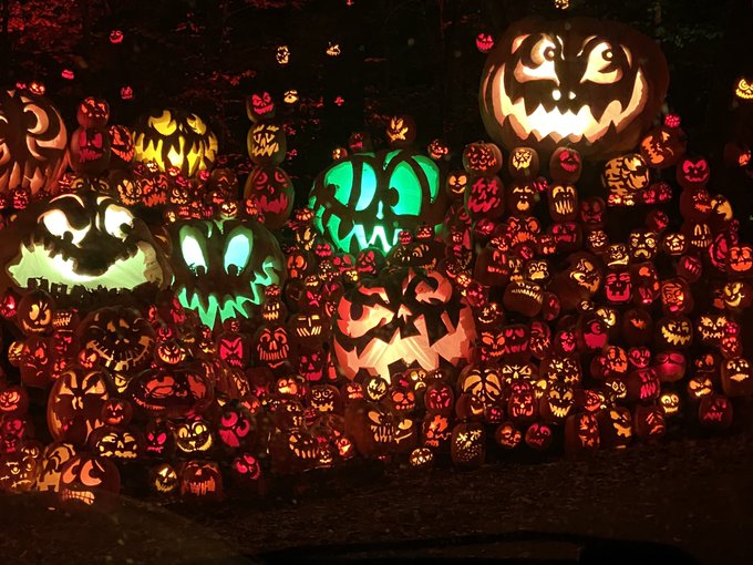 A sensory overload immersive experience. This is a MUST VISIT event! With thousands of Jack O Lanterns<a href="/tag/fanlove"class="tags"><span>#fanlove</span></a>