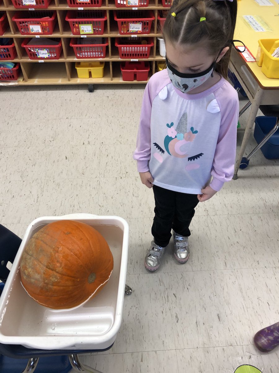 msb_ldsb's tweet photo. Our Pumpkin Inquiry encouraged Simcoe Kinders to ask good questions and use our observations to find the answers. https://t.co/7xTkHMXxui
