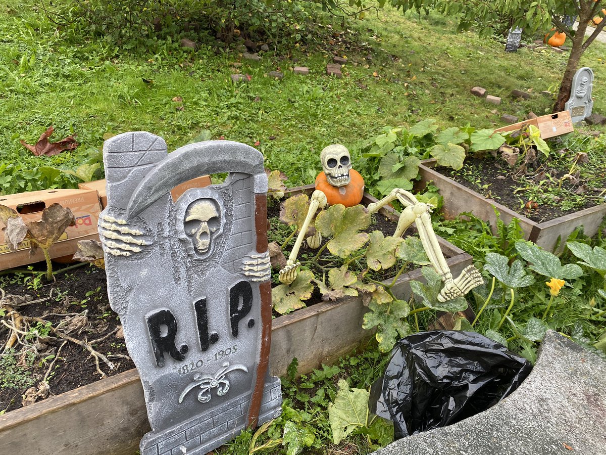 We couldn’t take the kids to the pumpkin patch this year so we brought the pumpkin patch to the kids. #sd43
