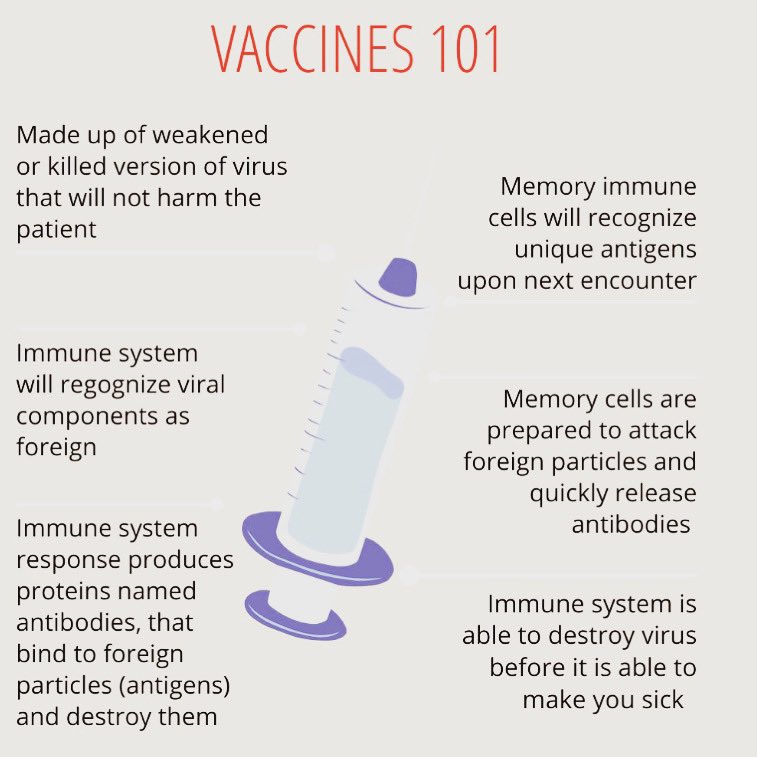 RyersonChemBio's tweet image. With news stations and medical professionals promoting the flu vaccine during this pandemic it is important to be educated on what vaccines are and how they work🦠