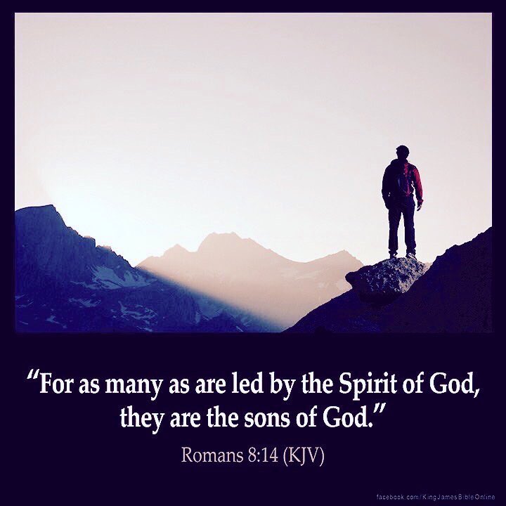 For all who are being led by the Spirit of God, these are the sons of God. For you have not received a spirit of slavery leading to fear again, but you have received the Spirit of adoption, by which we cry out, “Abba! Father!” Romans 8:14-15 #YHWH #Jesus #JesusSaves