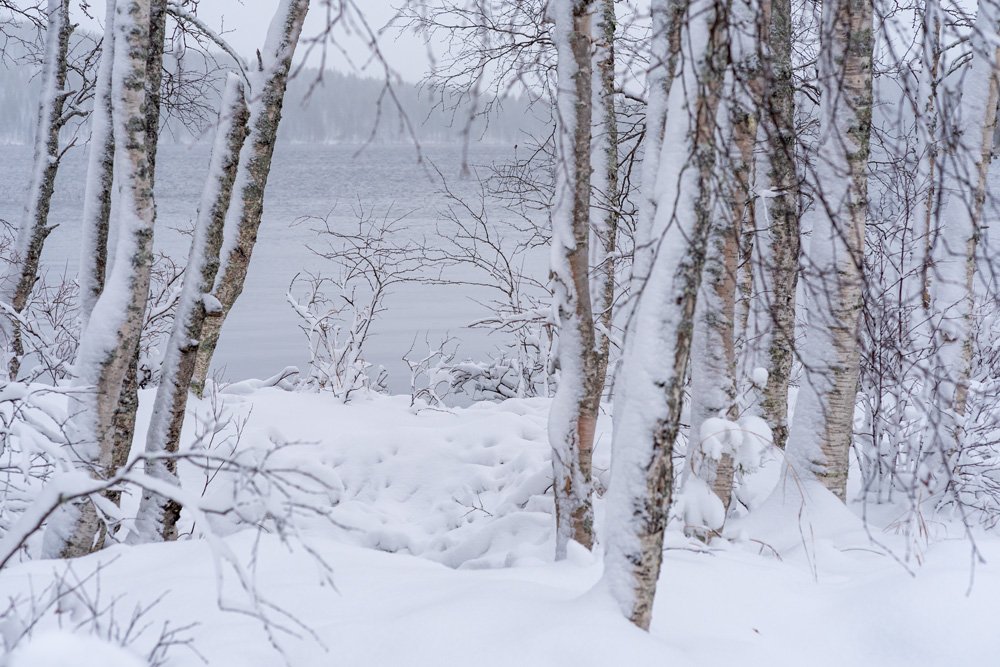 Vuodenaikojen rikkautta. Mitäs jos tulisitkin pidemmäksi aikaa ja nauttisit talvesta oikein kunnolla?
#lunta #talvi #napapiirillä #vuodenaikojenrikkaus #pello #travelpello