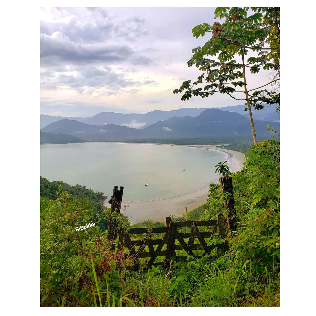 SimoneSpider's tweet image. " Senhor, todos os dias sou presenteada com riquezas incalculáveis. Ensina-me a ter olhos doces para perceber, e sobretudo agradecer. "

Arnalda Rabelo