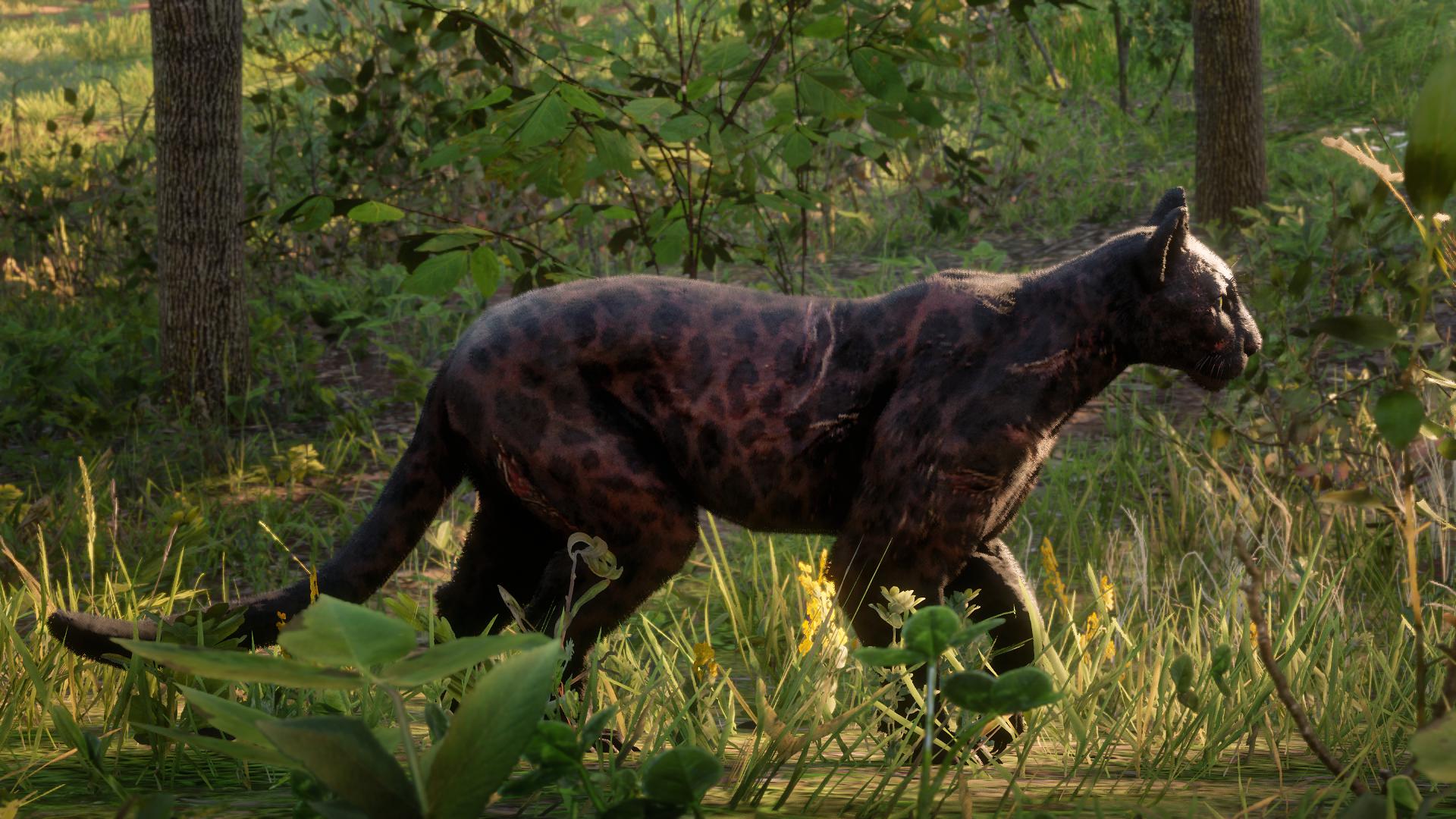 SLATZ_7 Twitter: "Legendary Giaguaro Panther #RockstarGames https://t.co/qGx6B9ddNB" /